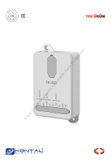 Kontal Qulp R1 - 1 Kanallı Değişken Kodlu Alıcı (Otomatik Kapı Aksesuarı)