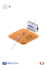 Kontal TS 2P Tosba ve TC Kontrol Kartı Metal Kütle Dedektörü LOOP Dedektörü  (Otomatik Kapı Aksesuarı)