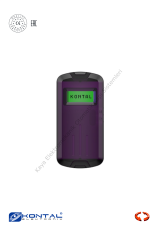 Kontal STR1 Kablolu Metal Kütle Dedektörü Kontrol Kartı (Otomatik Kapı Aksesuarı)