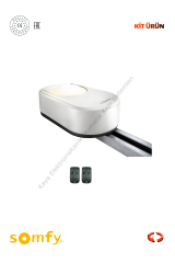 Somfy Dexxo Optimo RTS 850N (Seksiyonel/Garaj Kapısı Motoru) (Otomatik Kapı Motoru) (Aksesuarlı Kit)
